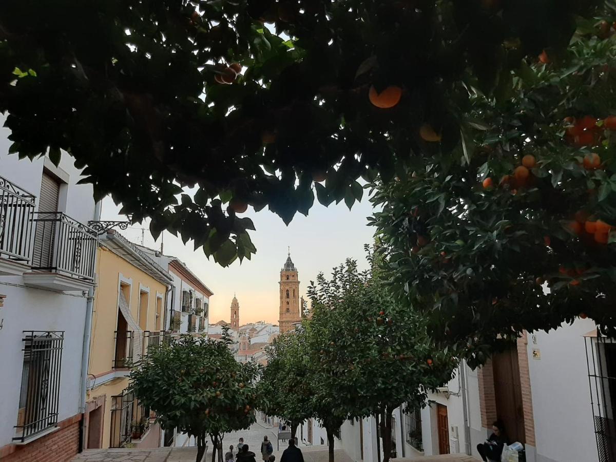 Apartamento Turistico La Vega أنتيكيرا المظهر الخارجي الصورة